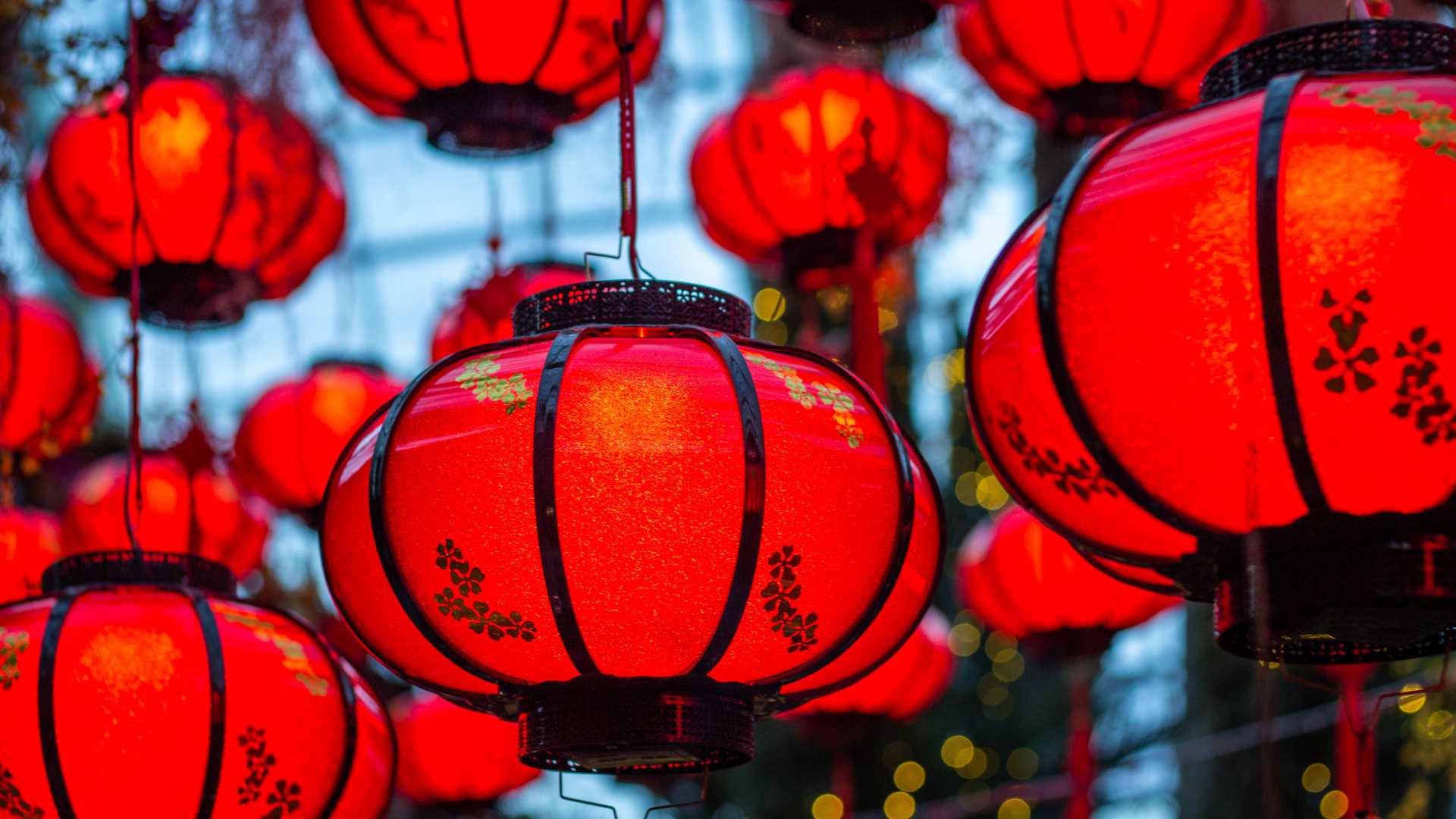 Chinese lanterns for Lunar New Year