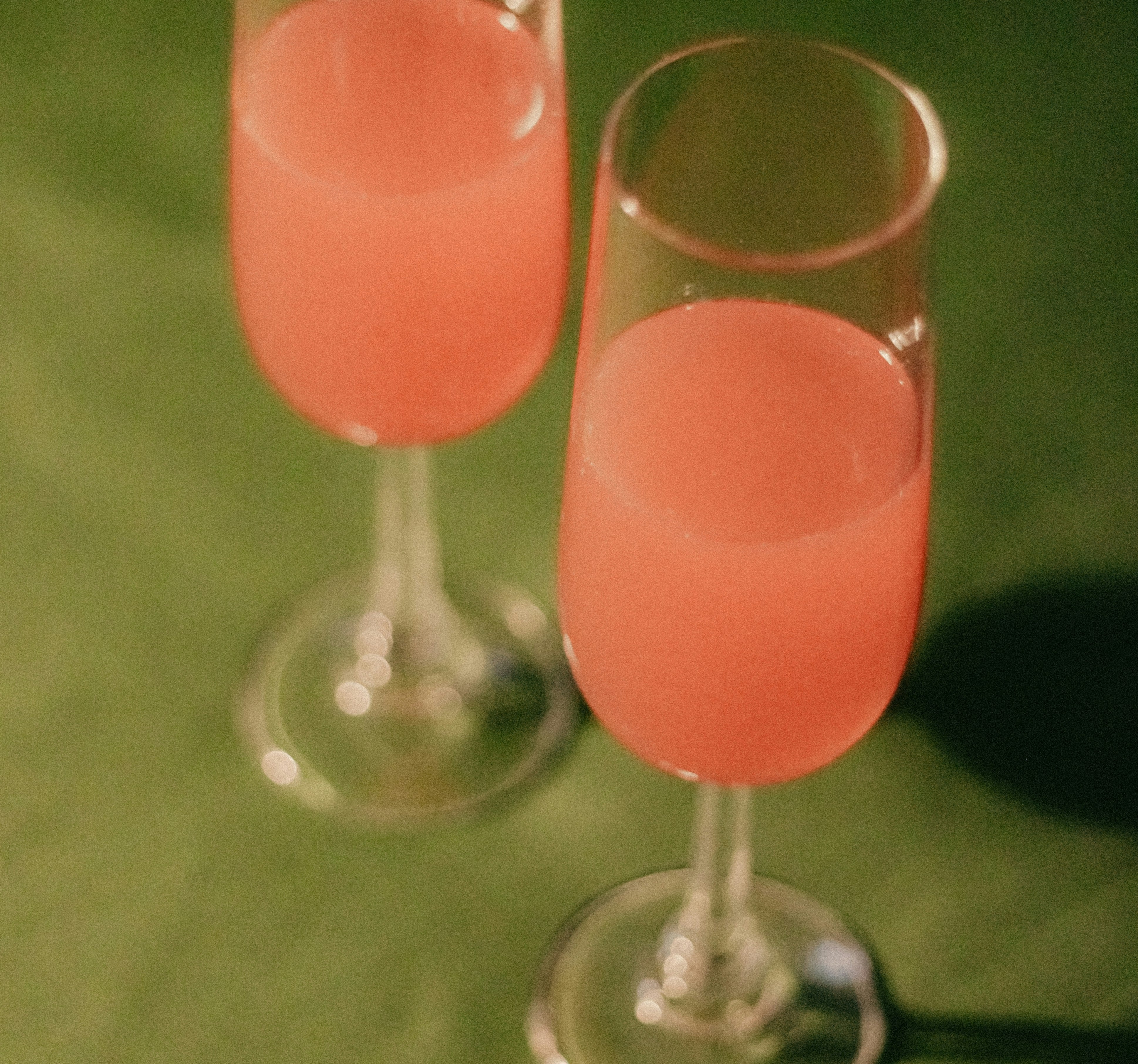 Photo of pomegranate mimosa